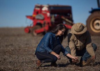 Sicredi está entre os que mais liberaram recursos ao agronegócio, segundo BNDES e FEBRABAN