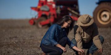 Sicredi está entre os que mais liberaram recursos ao agronegócio, segundo BNDES e FEBRABAN