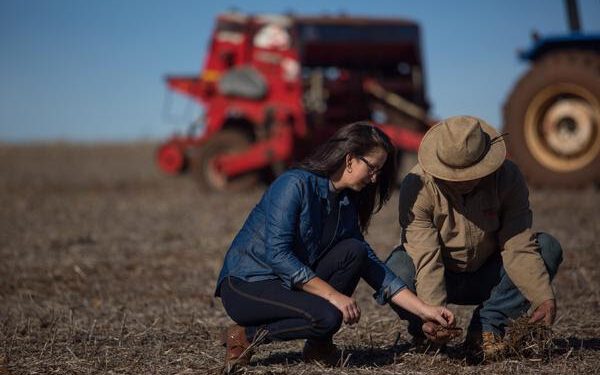 Sicredi está entre os que mais liberaram recursos ao agronegócio, segundo BNDES e FEBRABAN
