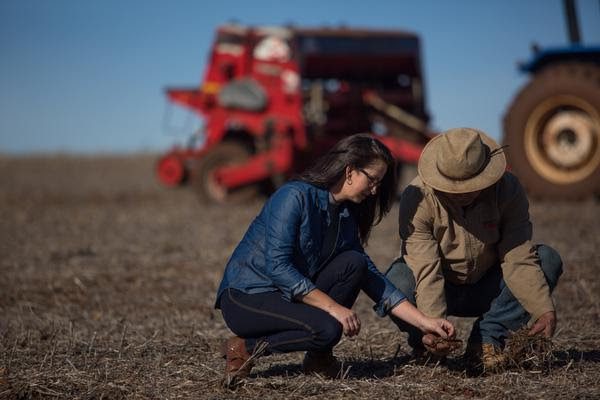 Sicredi está entre os que mais liberaram recursos ao agronegócio, segundo BNDES e FEBRABAN