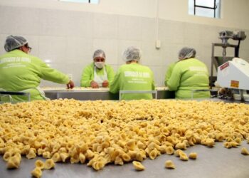 SDR projeta chegar a mil empreendimentos no Programa Estadual de Agroindústria Familiar