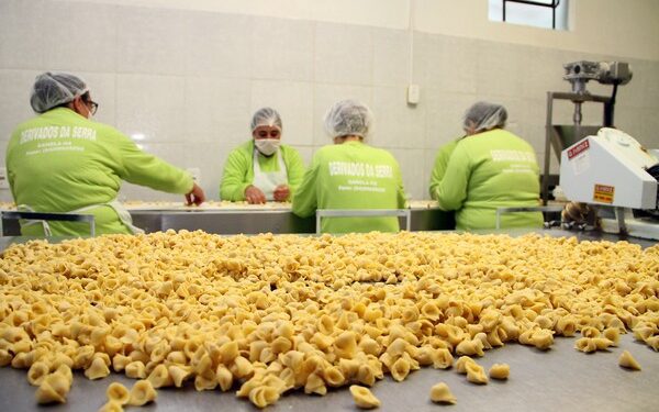 SDR projeta chegar a mil empreendimentos no Programa Estadual de Agroindústria Familiar