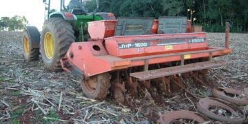 Baixa umidade do solo causa transtornos aos produtores de trigo no RS
