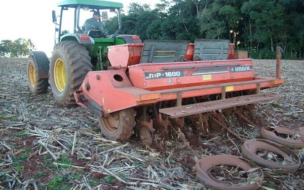 Baixa umidade do solo causa transtornos aos produtores de trigo no RS