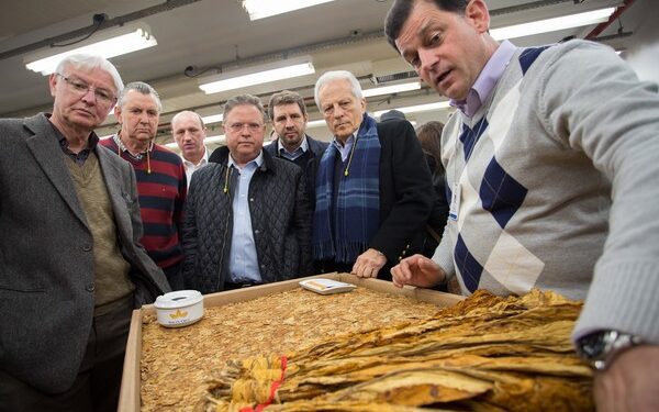 Ministro da Agricultura negocia acesso de fumicultores a crédito do Pronaf