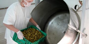 Editais com R$ 25 milhões para agricultura familiar recebem propostas até 22 de agosto