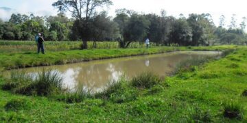 Fepam renova licença para operação do Programa RS Pesca e Aquicultura