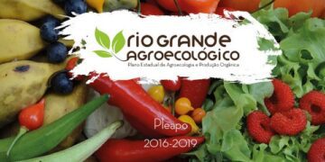Encontro discute produção e comercialização de plantas bioativas