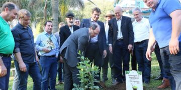Estado prevê ações para o desenvolvimento do setor ervateiro