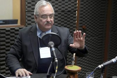 Secretário Pedro Westphalen concedeu entrevista ao vivo para rádios do interior (Foto: Alex Rocha/Palácio Piratini)
