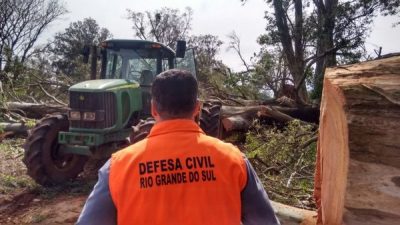 Estradas vicinais em Alegrete foram bloqueadas por árvores caídas (Foto: Divulgação/Defesa Civil)