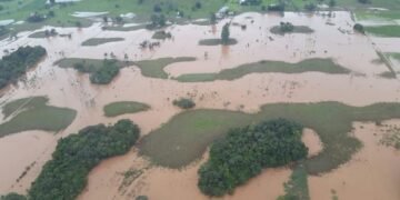 Autoridades ambientais avaliam impacto no solo após chuva em Rolante
