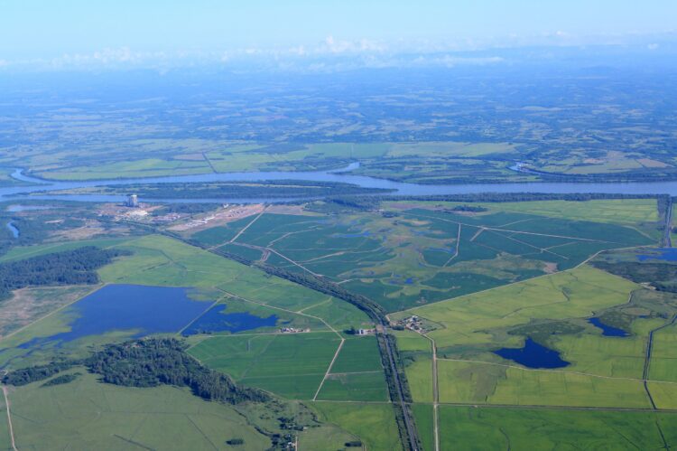 Soja determina crescimento histórico das exportações gaúchas em janeiro