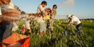 Programa Juventude Rural oferece 465 bolsas de R$ 200 a estudantes