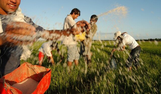 Programa Juventude Rural oferece 465 bolsas de R$ 200 a estudantes
