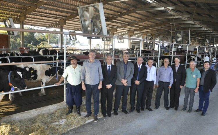 Estado ganha quarto condomínio leiteiro com ordenha robotizada