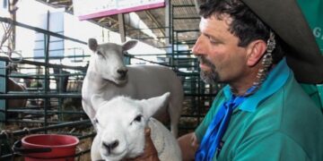 Expointer 2017 tem mais de 3 mil animais inscritos
