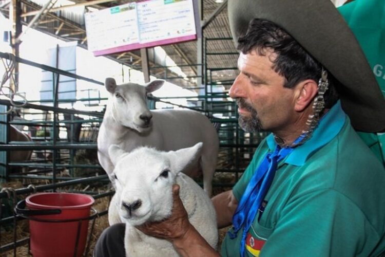 Expointer 2017 tem mais de 3 mil animais inscritos