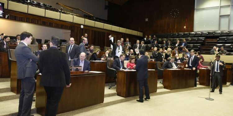 Assembleia aprova mudanças nas aplicações de multas da área animal
