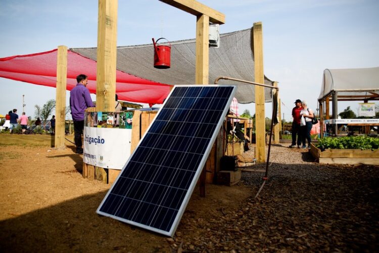 Energia solar é alternativa limpa para preservar a natureza