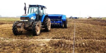 Produtores de arroz do RS já semearam 26,16% da área prevista
