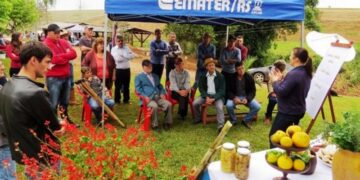 Gestão Sustentável da Agricultura Familiar é tema de seminário estadual