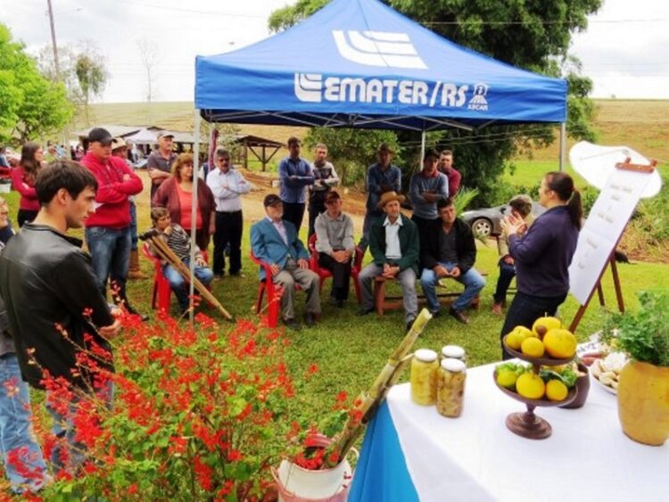 Gestão Sustentável da Agricultura Familiar é tema de seminário estadual