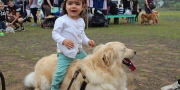 Preparativos para a 2ª Cãominhada se intensificam