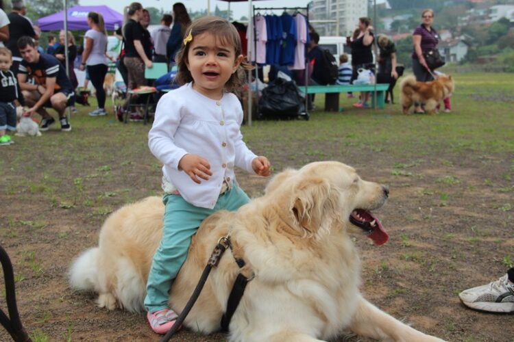 Preparativos para a 2ª Cãominhada se intensificam