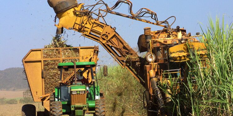 Safra de cana-de-açúcar deve crescer 4,4% e chegar a 694,5 milhões de toneladas