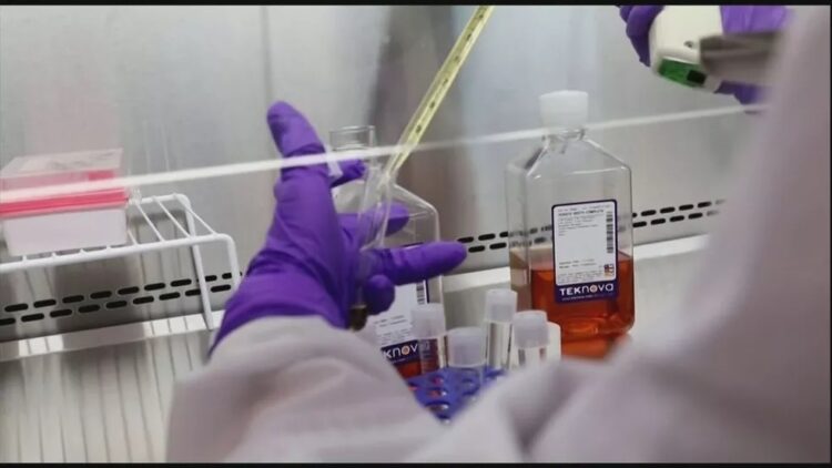 Vacina contra Covid-19: UnB considera positivo resultado de testes em chineses