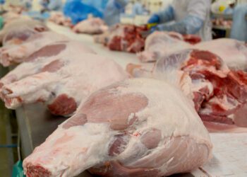 Meeting Empresarial estimula inovação e desenvolvimento dos negócios na Jornada AlimentaAçãoRS