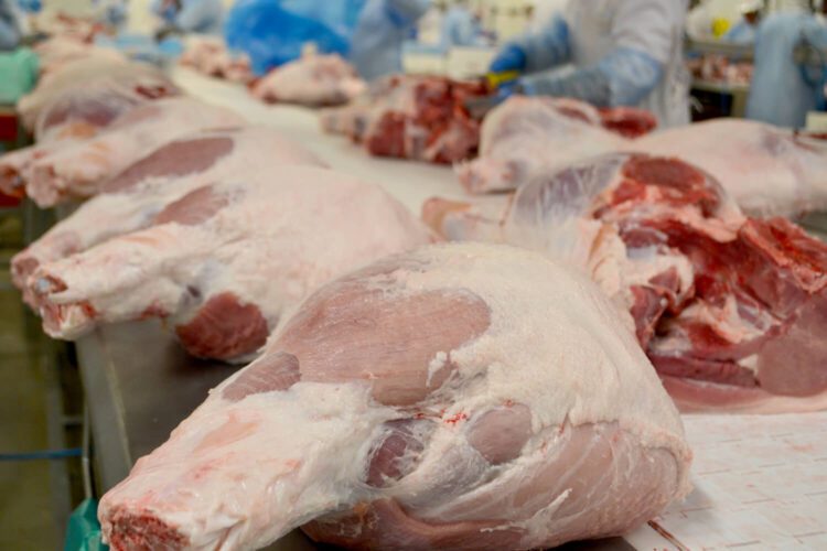 Meeting Empresarial estimula inovação e desenvolvimento dos negócios na Jornada AlimentaAçãoRS