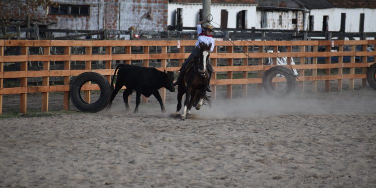 Maior festa campeira do RS divulga a programação