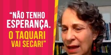 LAURA PEIXOTO questiona sobre os CUIDADOS com o MEIO AMBIENTE