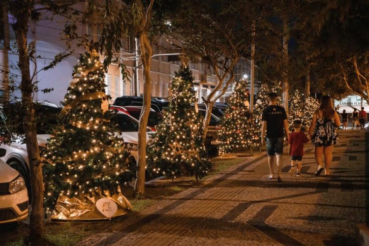 Prefeitura de Lajeado lança ação “Seu Amor no Pinheiro do Natal no Coração” para entidades e empresas do município