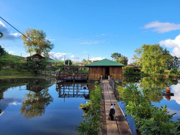 Casa na Árvore, em Sério, oferece refúgio encantador em meio à natureza