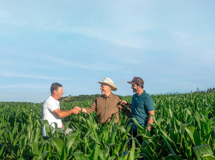 Audiência Pública discute Plano Safra e crise do endividamento agrícola