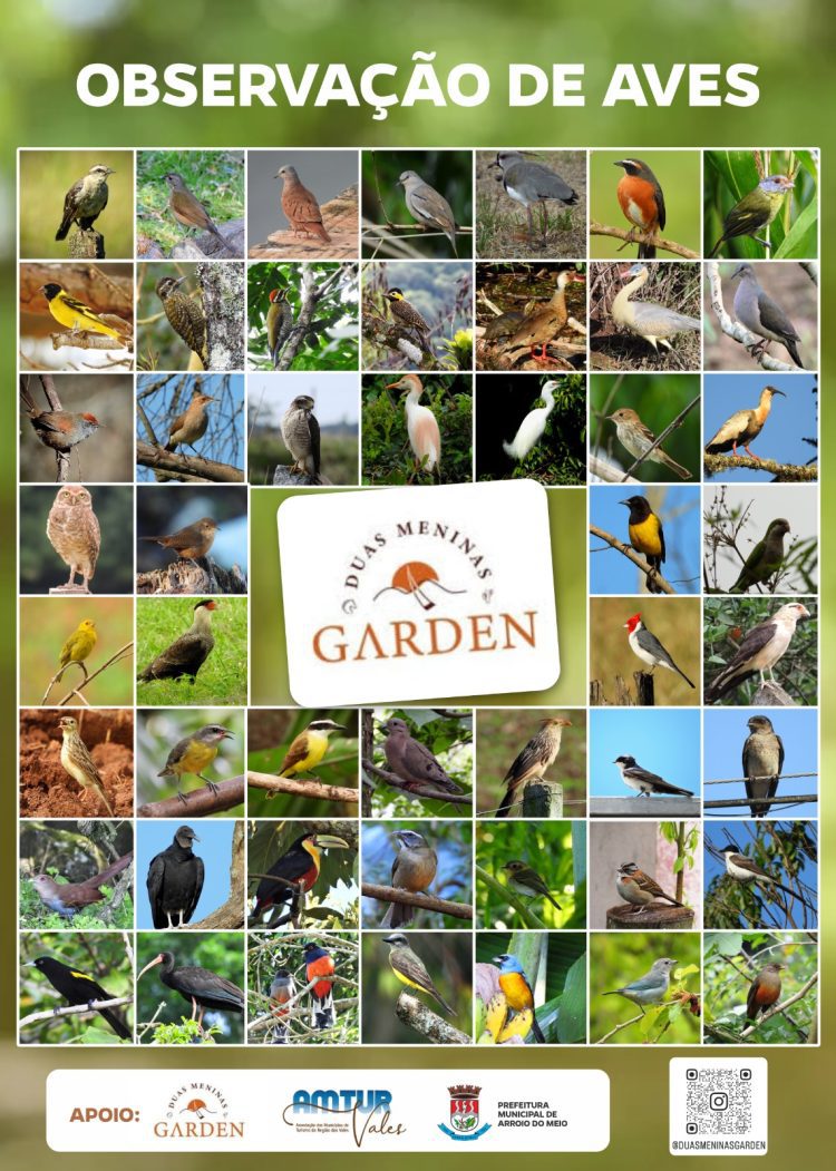 Duas Meninas Garden inaugura espaço pioneiro de observação de aves no Vale do Taquari