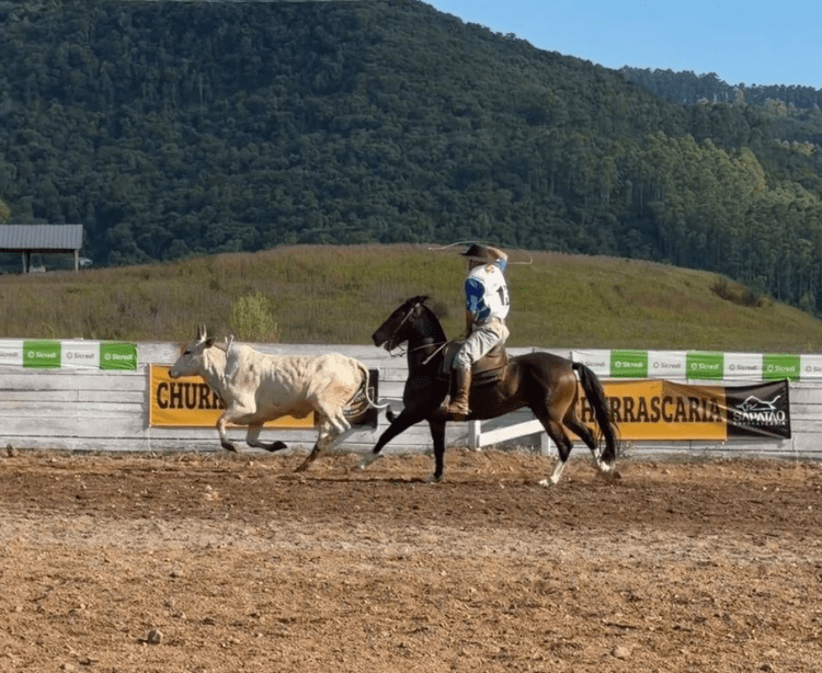 Relvado realiza um dos maiores rodeios da história do município