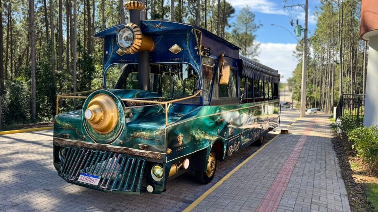 Trem Valentino já levou encanto para mais de 9,5 mil passageiros desde 2024