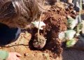 Semana do Meio Ambiente reforça a cultura da sustentabilidade