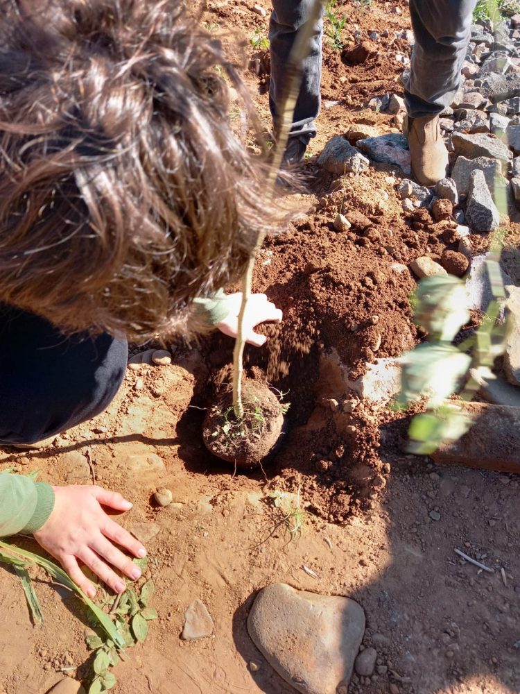 Semana do Meio Ambiente reforça a cultura da sustentabilidade