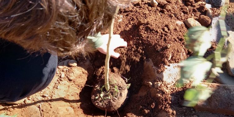 Semana do Meio Ambiente reforça a cultura da sustentabilidade