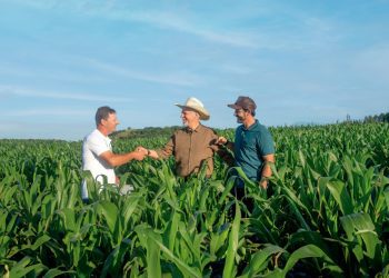 Estrela recebe 1º Expo Fórum Agro neste sábado