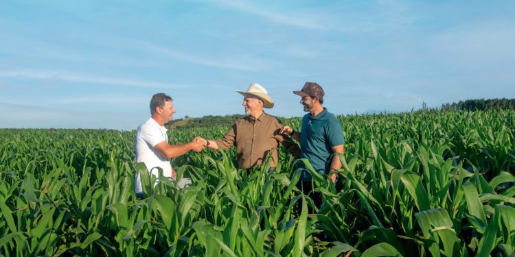 Estrela recebe 1º Expo Fórum Agro neste sábado