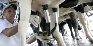 Famurs lança campanha para estimular consumo de leite