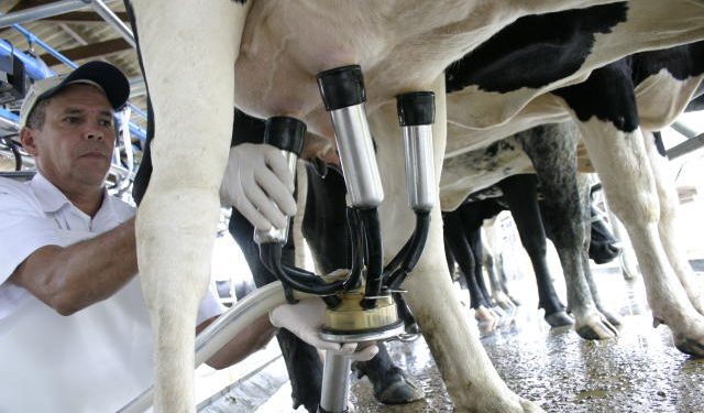 Famurs lança campanha para estimular consumo de leite
