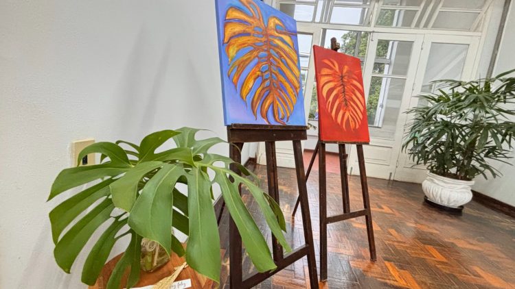 Artes plásticas e exposições ganham espaço na Prefeitura de Estrela