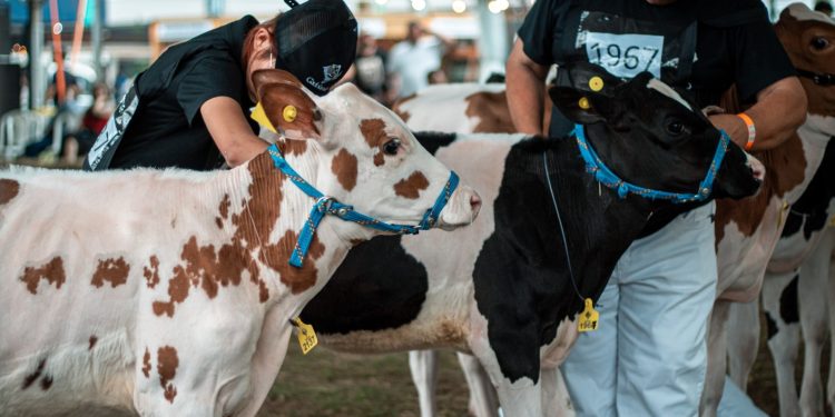 Gadolando abre inscrições para a 49ª Expointer